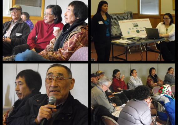 Representatives from several communities, including St. Mary’s, Emmonak, Kotlik, Akiak, and Tuluksak attended the USDA-led Tribal Collaboration meeting in Bethel.