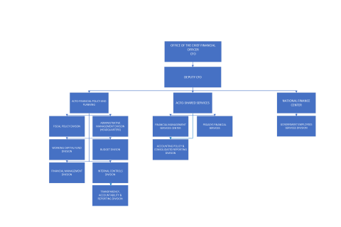 OCFO Organization Chart