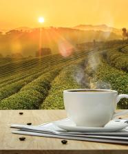 A close-up of a coffee cup and a newspaper in front of the hills and sunrise