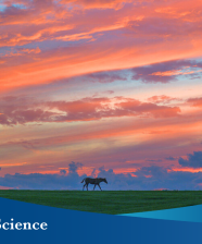 Sunset on a large thoroughbred horse farm in Kentucky, July 22, 2023