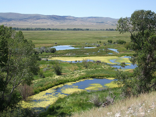 USDA Works with Other Groups to Restore one of Montana's Largest ...