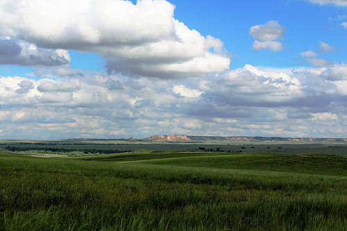 National Grasslands - Celebrating and Conserving Open Space | USDA