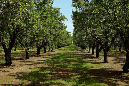 #AgStrong Innovation in Rural America | USDA