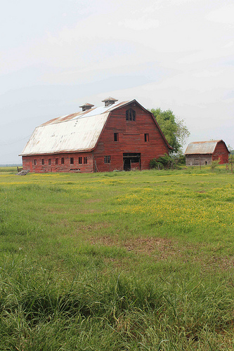 How farming in the Mississippi Delta can save America's food supply chain -  WTOP News