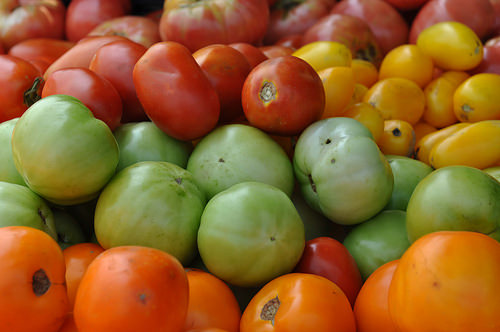 Fresh Foods Signal a Fresh Start for New Orleans' Lower Ninth Ward | USDA