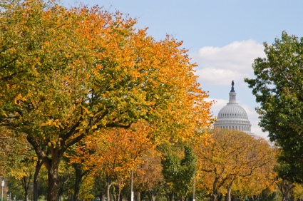 Forest Service Chief Tidwell tours the District of Columbia’s urban ...