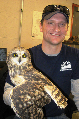 An Airport is No Place for an Owl USDA