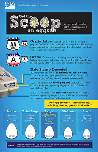 A Carton of Eggs - A True Baker's Dozen | USDA