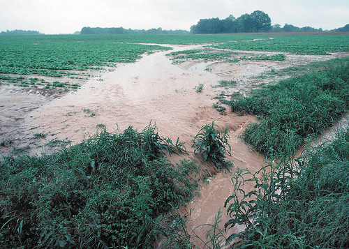 Water Quality Index for Agricultural Runoff, Streamlined and Accessible ...