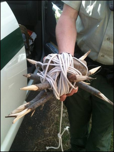 Forest Service Officer James Schoeffler Discovers Booby Traps While on  Patrol on the Forest