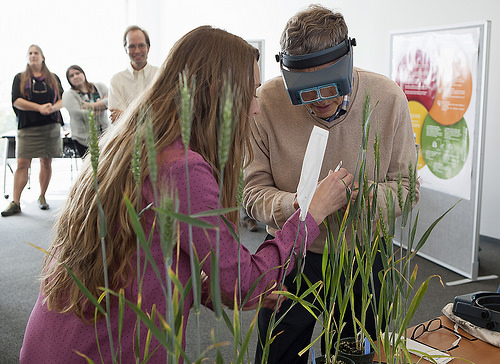 Bill Gates, Computerized Plant Breeding And Contending With Hunger 