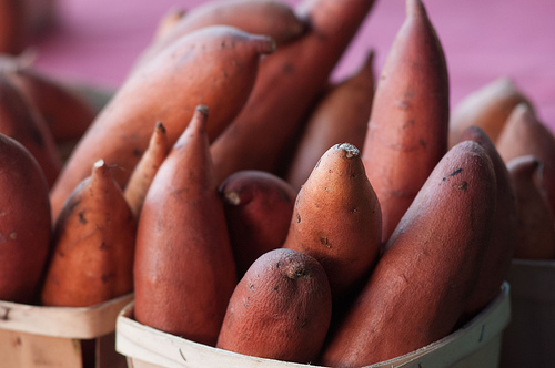 U.S. Sweet Potato Production Swells | USDA