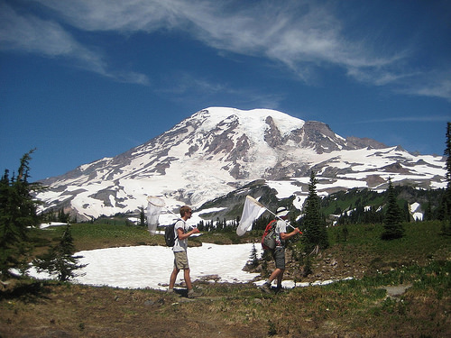 Citizen Science is Sound Science Provided by You | USDA